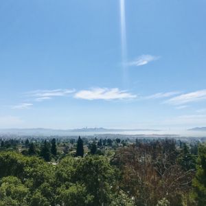 Photo of Indian Rock Park - Berkeley, CA, United States. View of San Francisco from Indian Rock Park