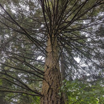 Powell Butte Nature Park - Parks Near Me - Portland, Oregon