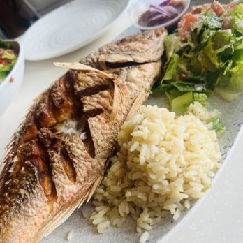 Tj Oyster Bar - Red snapper - Seafood Near Me - Chula Vista, California