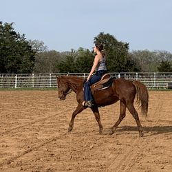 Brooks Land Stables