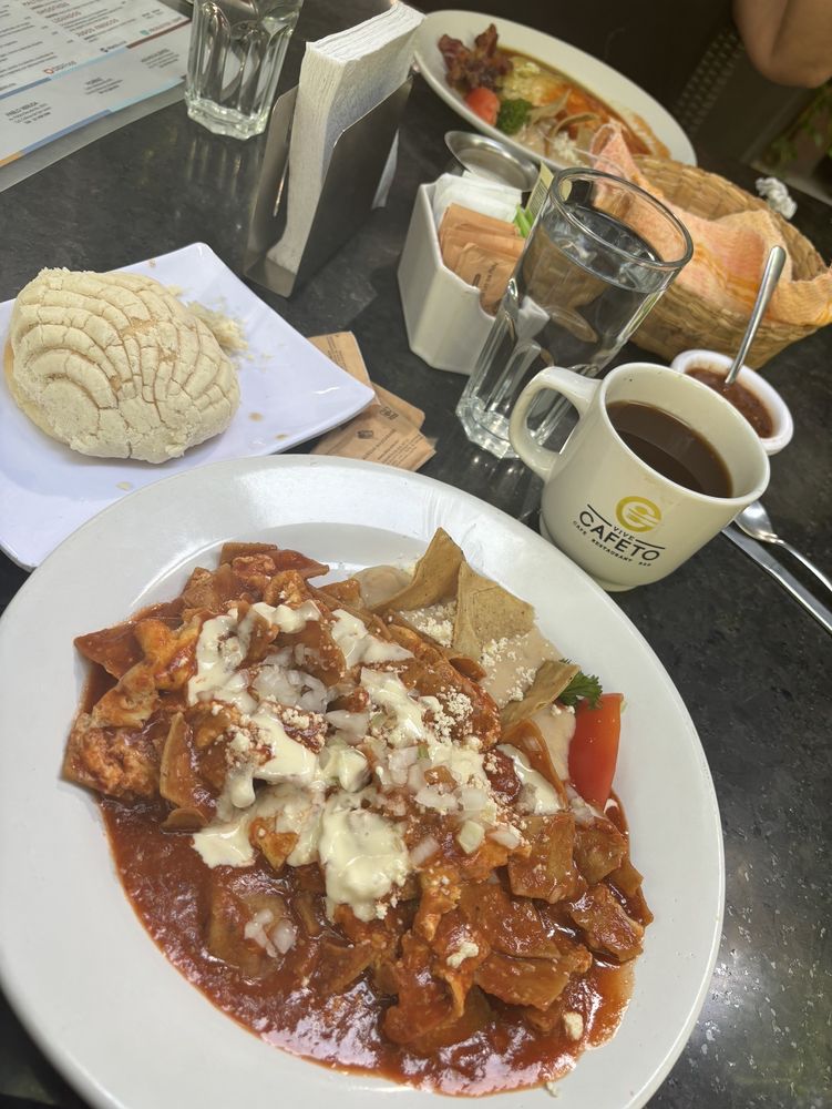 Jardín Cafeto