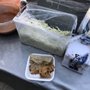 Photo of Tacos de la Mesita