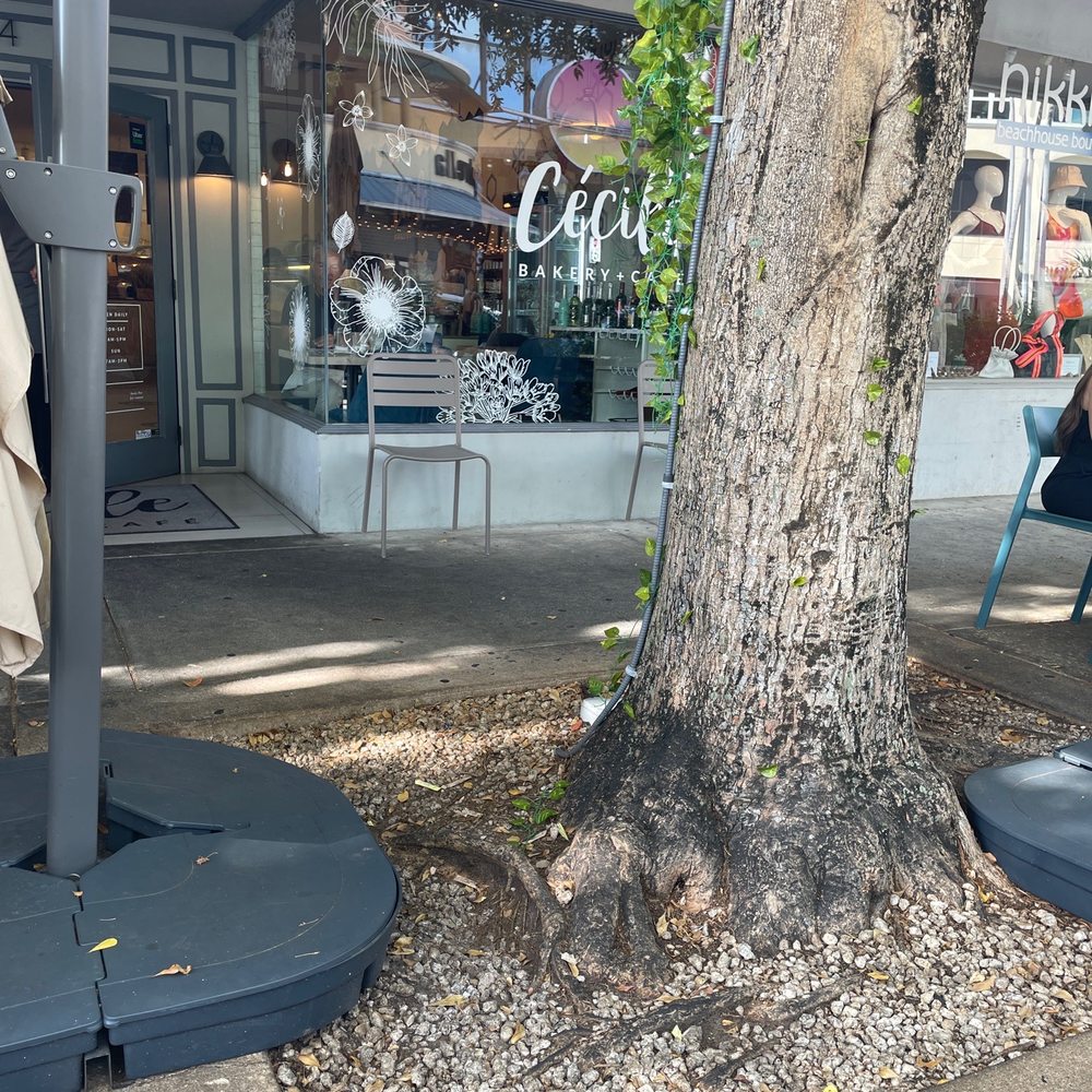 Cecile Bakery + Cafe - Front of restaurant from outdoor seating - Bakeries Near Me - Miami, Florida Cecile Bakery + Cafe - Front of restaurant from outdoor seating - Bakeries Near Me - Miami, Florida