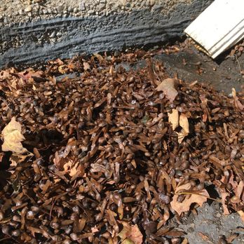 Mr Gutter - Gutter Services Near Me - Smithfield, Rhode Island