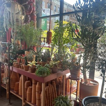 Tula House - Home Decor Near Me - Brooklyn, New York Tula House - Home Decor Near Me - Brooklyn, New York