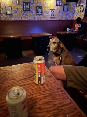 Showtime Lounge by null