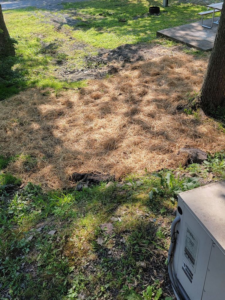 ROUND TOP CAMPGROUND Updated April 2024 29 Photos & 18 Reviews