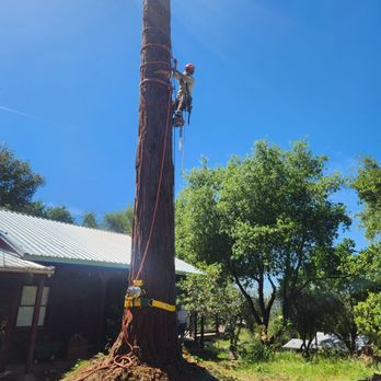 B West Treepro - Tree Services Near Me - Rail Road Flat, California