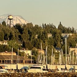 The Quarterdeck - View from the Quarterdeck