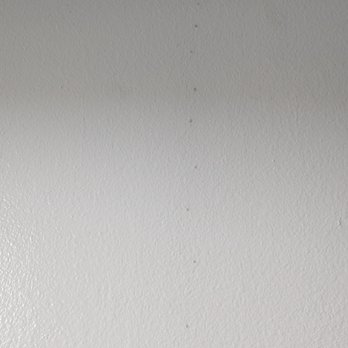 Pacific Coast Termite - Holes drilled out for product injection, then patched with something. - Pest Control Near Me - Fremont, California Pacific Coast Termite - Holes drilled out for product injection, then patched with something. - Pest Control Near Me - Fremont, California