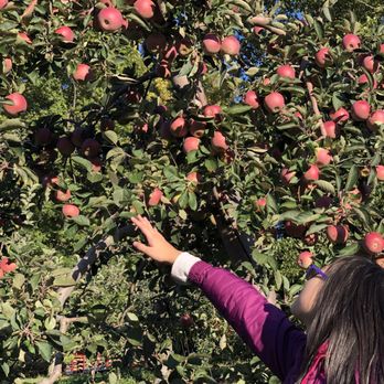 Ochs Orchard - Fruits & Veggies Near Me - Warwick, New York Ochs Orchard - Fruits & Veggies Near Me - Warwick, New York