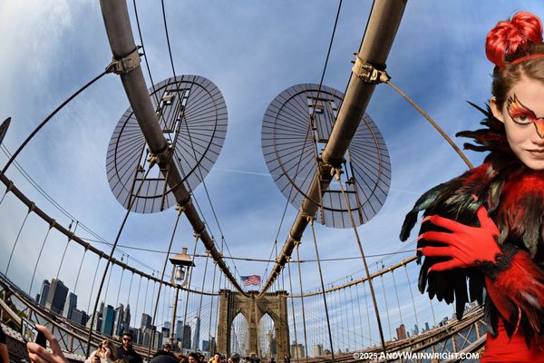Brooklyn Bridge by null