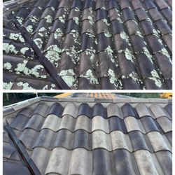 Pacific Exterior - Roof cleaning before and after