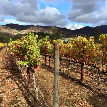 Goosecross Cellars - Napa Valley Strong - Wineries Near Me - Yountville, California