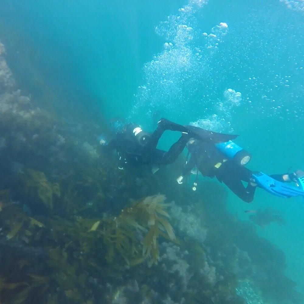 Shaws Cove - Found some scuba divers - Beaches Near Me - Laguna Beach, California Shaws Cove - Found some scuba divers - Beaches Near Me - Laguna Beach, California