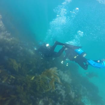Shaws Cove - Found some scuba divers - Beaches Near Me - Laguna Beach, California