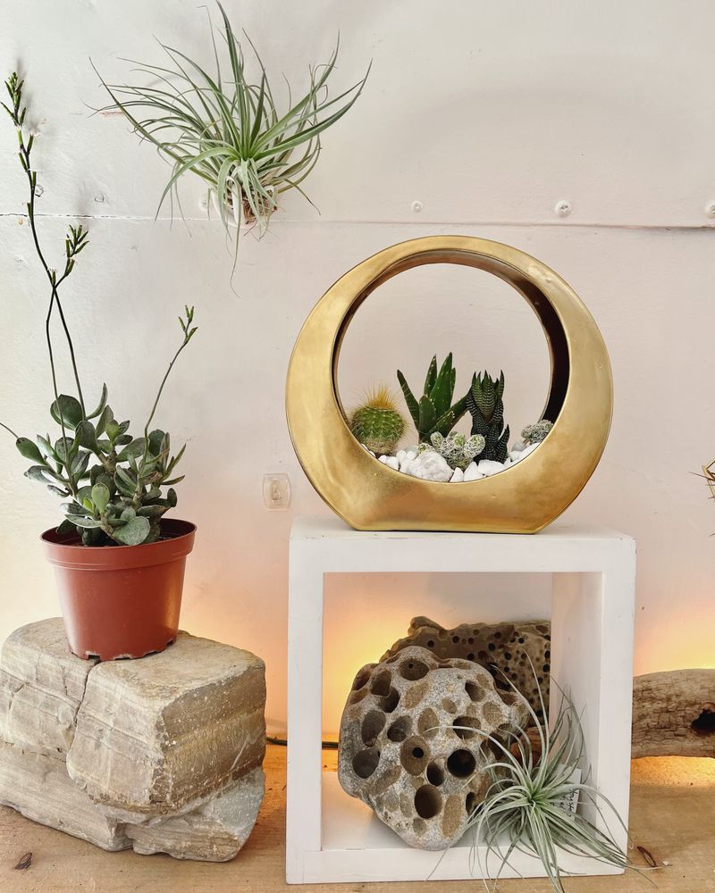 ORGANIC DESIGNS BY AGGELIGE Updated August 2024 168 Photos & 35