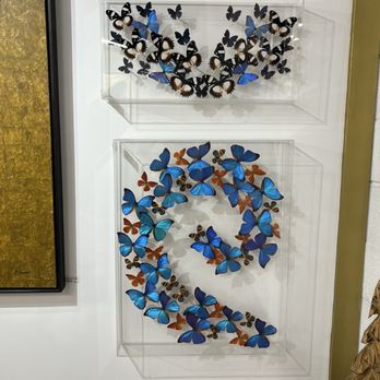 Marquee - Butterfly exhibits and items to purchase - Art Galleries Near Me - Asheville, North Carolina Marquee - Butterfly exhibits and items to purchase - Art Galleries Near Me - Asheville, North Carolina
