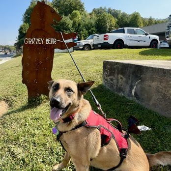 Grizzley Bear Restaurant - Cute dog with sign - Breakfast & Brunch Near Me - Murphy, North Carolina Grizzley Bear Restaurant - Cute dog with sign - Breakfast & Brunch Near Me - Murphy, North Carolina