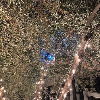 Ysabel - Olive Tree - New American Near Me - West Hollywood, California