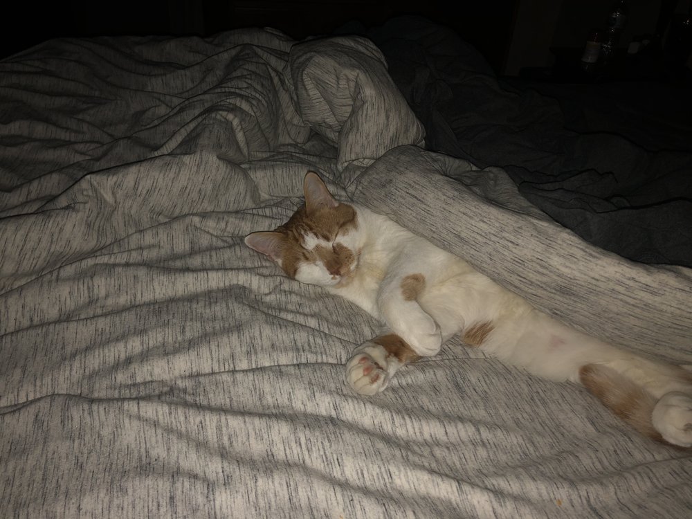 Slide of Ken Daniels Plumbing And Heating