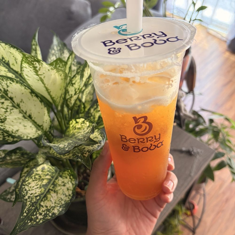 Peach Fruit Tea Peach Fruit Tea
