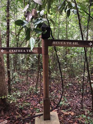 Lower Peirce Reservoir Park by null