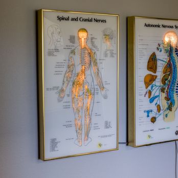 Integrated Chiropractic - Nervous system chart - Chiropractors Near Me - Sarasota, Florida Integrated Chiropractic - Nervous system chart - Chiropractors Near Me - Sarasota, Florida