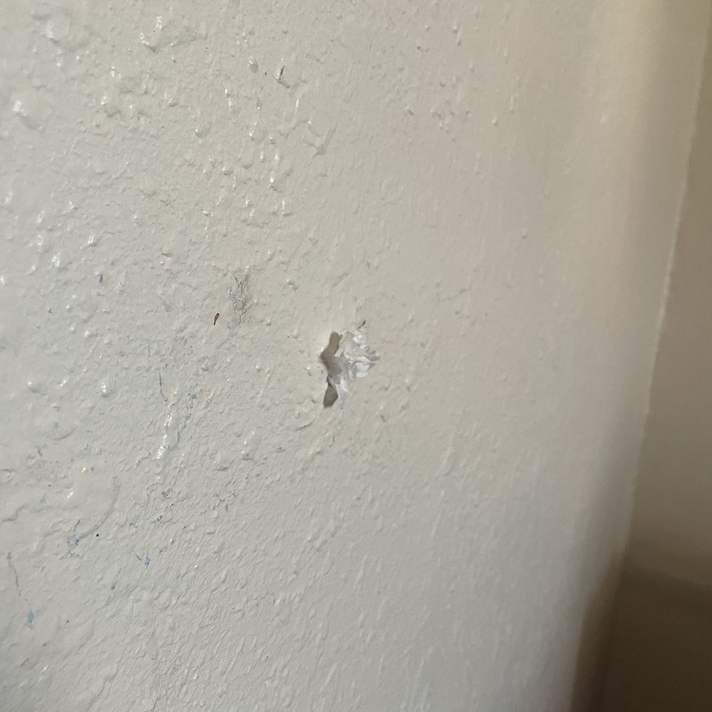 Budget Inn Punta Gorda - hole in the wall "fixed" with toilet paper - Hotels Near Me - Punta Gorda, Florida