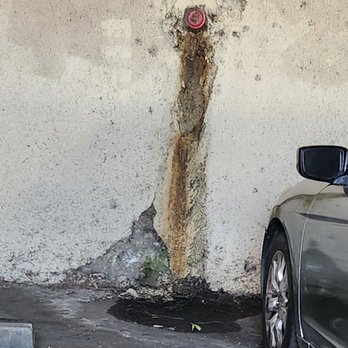 Golden Bee Management - Human sewage seeping. - Property Management Near Me - Los Angeles, California