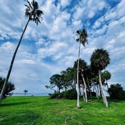 Lassing Park