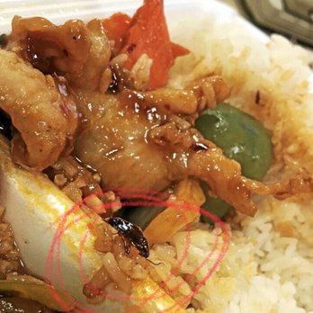 Best China - White rice and chicken WITH A SIDE OF BUG! - Chinese Near Me - Charlotte, North Carolina