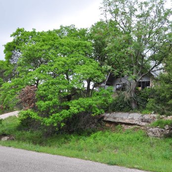 American Tree Works & Lawn Service - Before-Beautiful green oak branches-one dead one. Creating a beautiful wooded-look property. - Landscaping Near Me - Austin, Texas American Tree Works & Lawn Service - Before-Beautiful green oak branches-one dead one. Creating a beautiful wooded-look property. - Landscaping Near Me - Austin, Texas