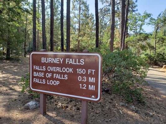 Burney Falls by null