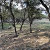 Orsinger County Park gift card