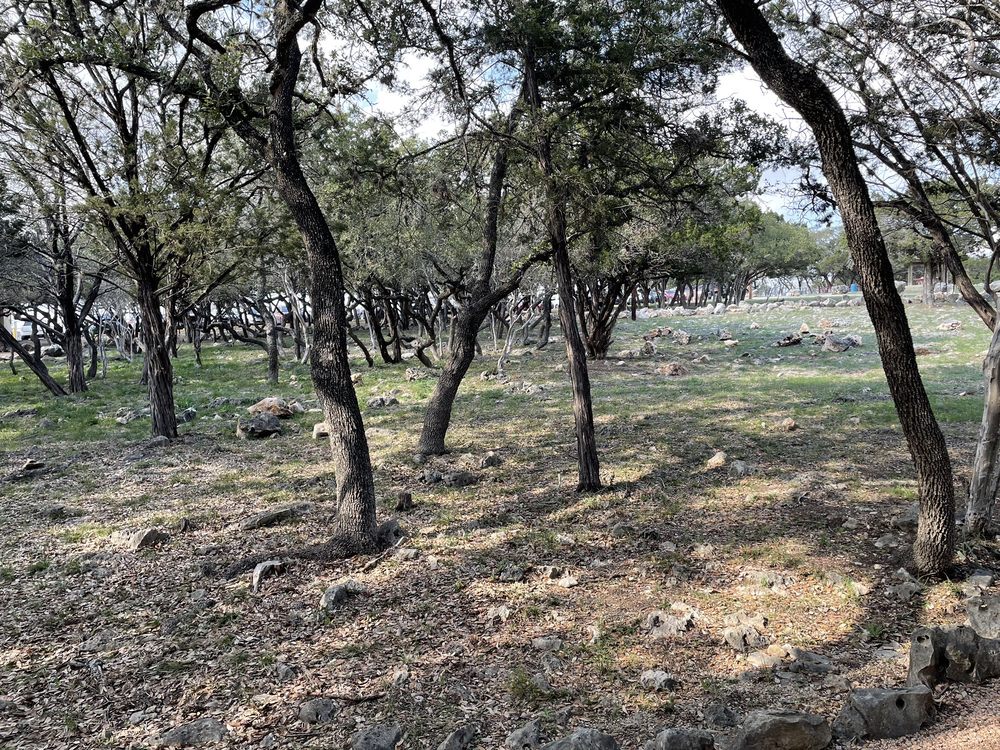 Orsinger County Park Image