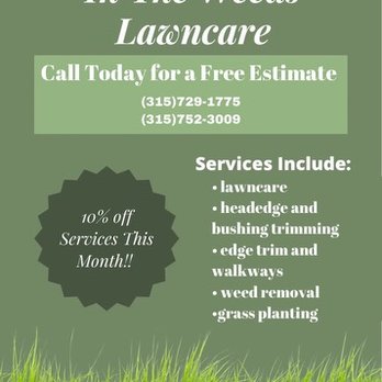 1. In the Weeds Lawncare