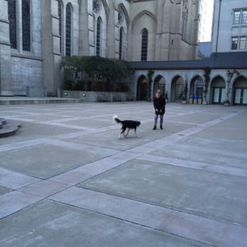 Grace Cathedral - Dog in motion in the courtyard - Churches Near Me - San Francisco, California