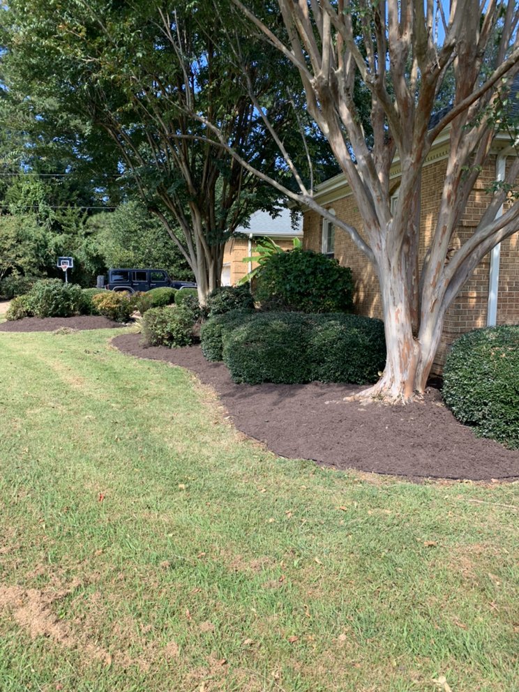 Evolution Landscapes - tree service in Virginia Beach, VA