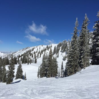 Alta Lodge - Alta Ski Resort - Ski Resorts Near Me - Alta, Utah Alta Lodge - Alta Ski Resort - Ski Resorts Near Me - Alta, Utah