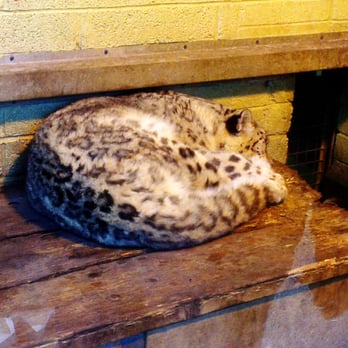 Dublin Zoo - Zoos Near Me - Dublin, D Dublin Zoo - Zoos Near Me - Dublin, D