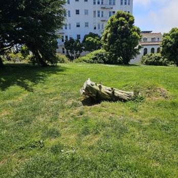 Alamo Square - Parks Near Me - San Francisco, California
