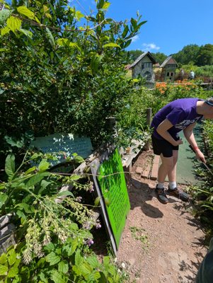 Putt Putt Van Winkle by null