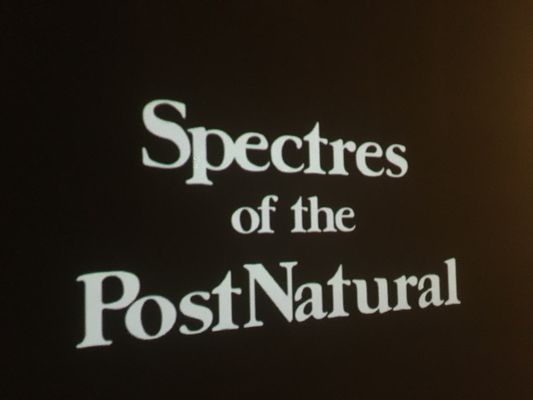 Center for PostNatural History by null