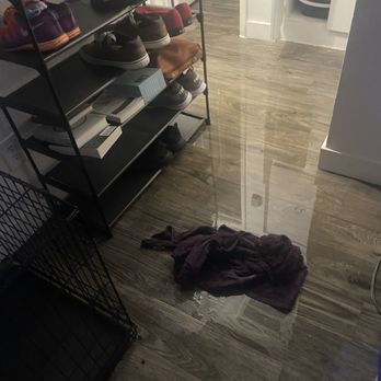 Amara  - Flooding - Apartments Near Me - Phoenix, Arizona
