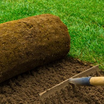 Elmdale Farms Sod Outlet - Lawn Services Near Me - Abilene, Texas Elmdale Farms Sod Outlet - Lawn Services Near Me - Abilene, Texas