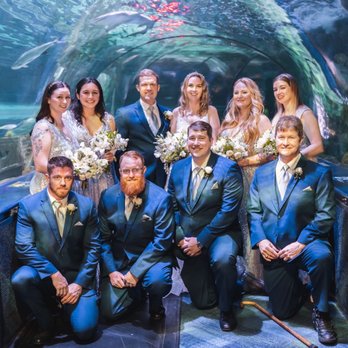 Ripley's Mirror Maze - Wedding party in the shark tunnel - Aquariums Near Me - Myrtle Beach, South Carolina Ripley's Mirror Maze - Wedding party in the shark tunnel - Aquariums Near Me - Myrtle Beach, South Carolina