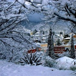 Paula Sindelar - Pepper Realty - Bisbee Winters