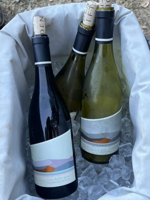 Eden Rift Vineyards by null
