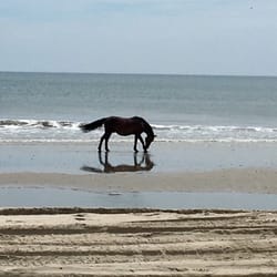 Humvee Adventure Tours - Gus on the beach